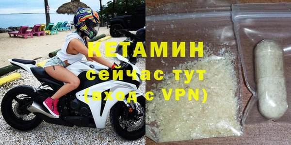 прущие грибы Верея
