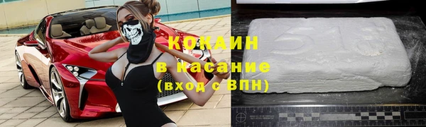 прущие грибы Верея