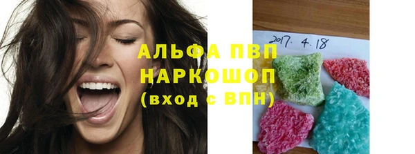 прущие грибы Верея