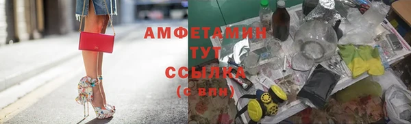 прущие грибы Верея