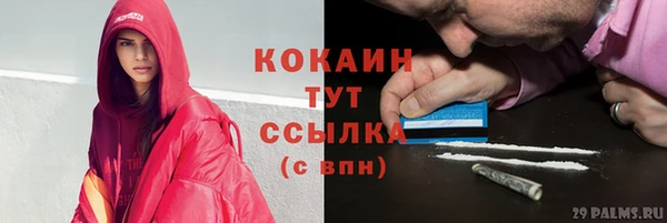 прущие грибы Верея