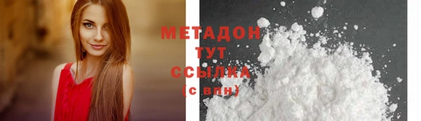прущие грибы Верея