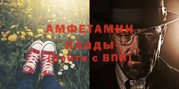прущие грибы Верея