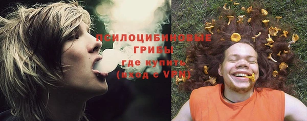 прущие грибы Верея