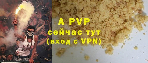 прущие грибы Верея