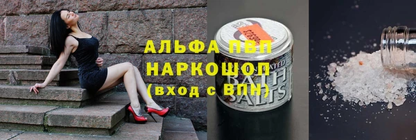 прущие грибы Верея