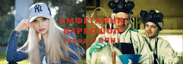 прущие грибы Верея
